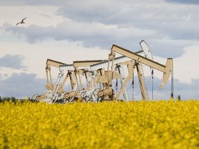 0102 mg oilpatch 115